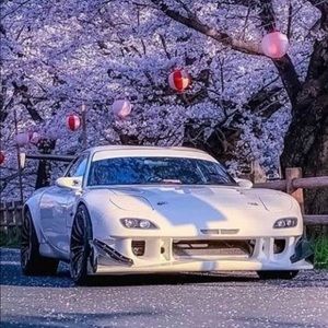 Meet your Posher, Jackson